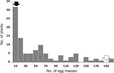 Mapping of Nematode Resistance in Hexaploid Sweetpotato Using a Next-Generation Sequencing-Based Association Study